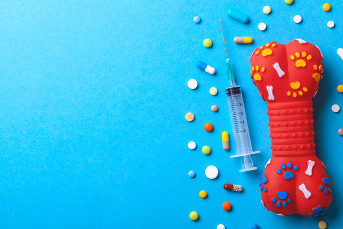Spielzeuggummiknochen für Hunde und viele farbige Tabletten mit einer Spritze auf blauem Hintergrund. Das Konzept einer Tierklinik zur Behandlung von Haustieren