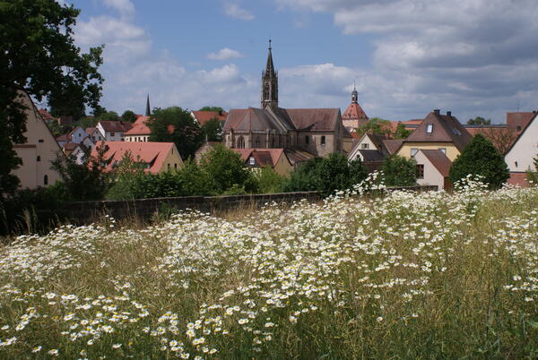 Bild vergr&ouml;&szlig;ern: Heilsbronner Münster