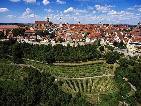 Bild vergr&ouml;&szlig;ern: Rothenburg - Weinberge vor der Stadt