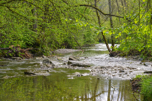 Bild vergr&ouml;&szlig;ern: Wasserwirtschaftlicher Lehrpfad an der Schandtauber