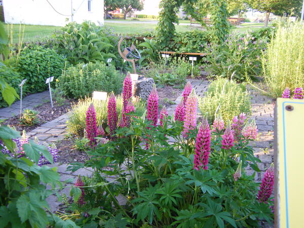 Bild vergr&ouml;&szlig;ern: Kräutergarten Lauterbach