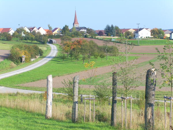Bild vergr&ouml;&szlig;ern: Naturlehrpfad Flachslanden