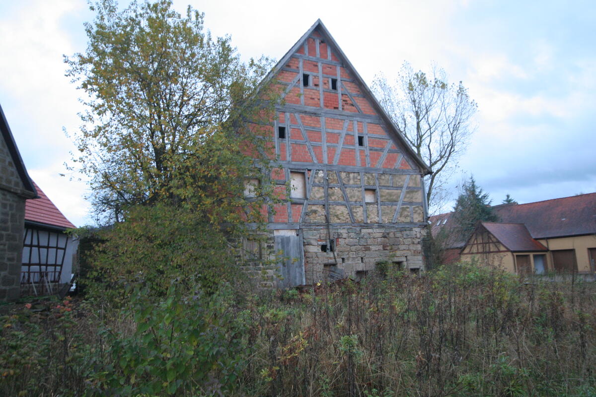 Bild vergrößern: Altes Fachwerkhaus mit Ziegelmauerwerk zwischen den Fachwerken. Vor dem Haus ein Baum und eine große zugewachsene Wiese.