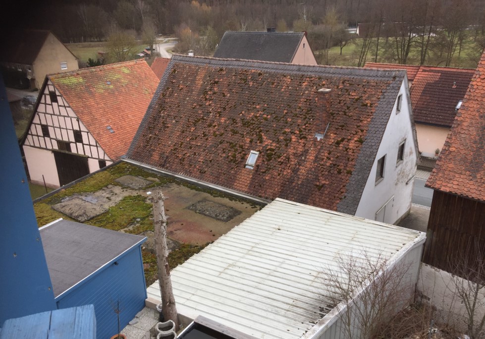 Bild vergrößern: Drei verschiedene Hausdächer sind zu sehen. Eines ist ein Zink Dach. Das andere ist ein Flachdach mit viel Moos. Das dritte Dach hat rote Ziegel und auch viel Moos.