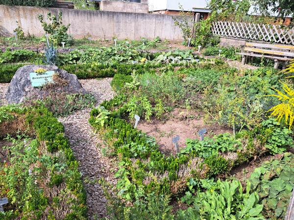 Bild vergr&ouml;&szlig;ern: Kräutergarten Flachslanden