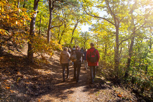 Gruppe von Wanderern im Wald
